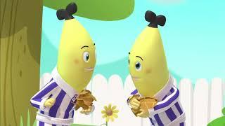 B1 and B2 make a mistake   Bananas in Pyjamas   YouTube