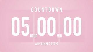 5 Hours Countdown Flip Clock Timer / Simple Beeps 