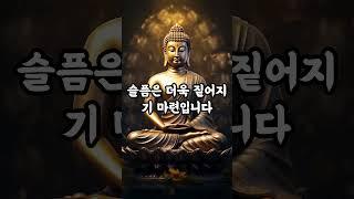 마음의 안식처를 찾는 법 #삶이힘들때 #마음을다스리는법 #부처님지혜