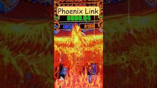 Phoenix Link - Quick Bonus Win on $12.50 Bet #shorts #PhoenixLink #AZSlotPlay