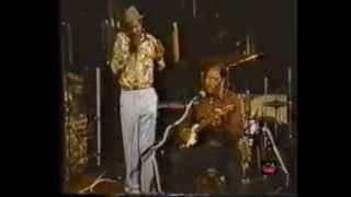 Harmonica Slim with Boogie Bill Webb 1991 - Live video