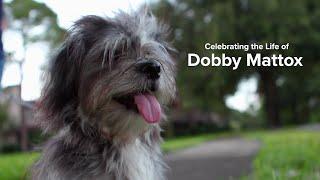 Dobby Mattox | A Celebration of Life