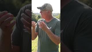 Using MOCK SCRAPES To Get Trail Camera Pictures of Big Bucks #Shorts