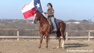 Major Stop - carrying flag - Valley View Ranch