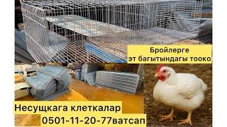 Несущка тооко клетка.Жаңы партия0501112077 10.000сом#жалалабад #ош #баткен #карасуу #ысыккөл #бишкек