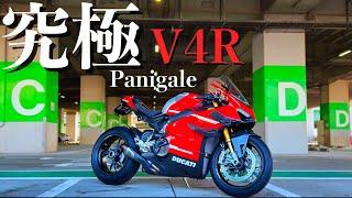 緊急納車【パニガーレV4R】 究極にカスタムした『R』※憧れを全て詰め込みました