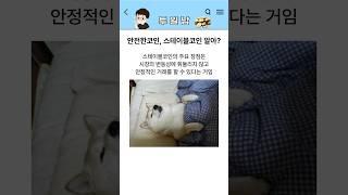 해외선물거래 스테이블코인 알고있음? 안전한코인! #해외선물 #스테이블코인 #해외선물거래방법