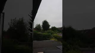 crow making an unusual sound