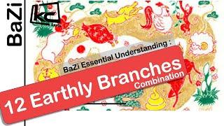 BaZi | 12 Earthly Branches : Combination | Kevin Chan