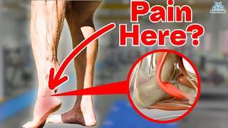 5 BEST Peroneal Tendinopathy Rehab Exercises!