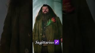 All about Hagrid || Hagrid || Harry Potter || Hp || Potterhead 