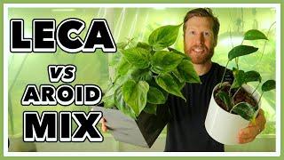 LECA vs AROID Mix - Which Should YOU use?