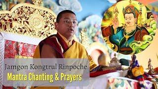 [4th Jamgon Kongtrul Rinpoche] The Seven Line Prayer To Guru Rinpoche | Mantra| Calling the Guru