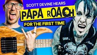 Pro Bassist hears PAPA ROACH for the FIRST Time