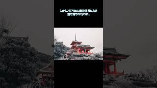【地域の雑学】比叡山の呪われた歴史 #30秒雑学 #雑学