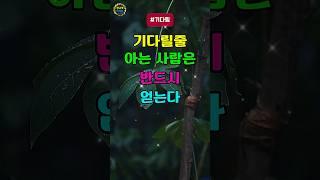 기다릴줄 아는 사람은 반드시 얻는다 #노후 #삶의지혜 #기다림의미학 #인생 #황금빛라이프