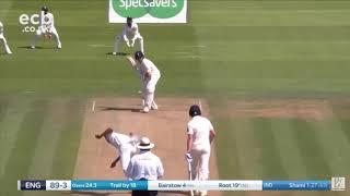 Small Cricket appeal compilation