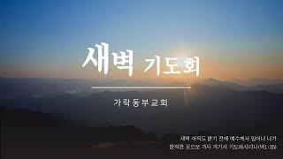 [가락동부교회] 2024.11.13 / 특별새벽기도회