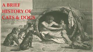 Why Cats Don't Play Fetch: A Brief History of the Domestication of Cats & Dogs [Documentary]