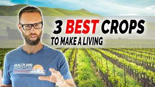 Profitable Vegetable Farming For A Beginner SMALL Farmer- Least Effort