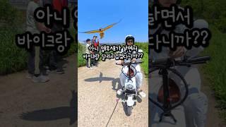 아니 앵무새가 바이크랑 같이 날고 있다니까?? #앵무새자유비행