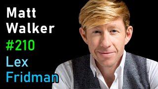 Matt Walker: Sleep | Lex Fridman Podcast #210