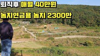 직장퇴직 후 노후에 월40만원씩 따박따박 농지연금 받는 2300만원짜리 농지보러 갔는데...가보니까 이런거 조심해야 된다 ! (2022타경106694)