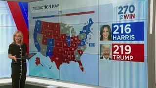 2024 election hangs in swing state battlegrounds: Polls