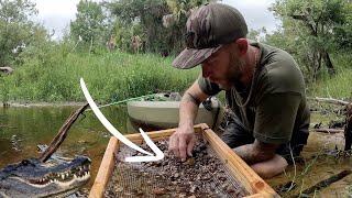 HOW TO FIND SHARK TEETH IN FLORIDA CREEKS! Fossil Hunting and The Search For Megelodon!