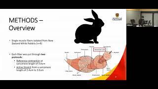 Residual Force Enhancement - Passive vs Active Contribution by Msc.  Wejdaan Faridi