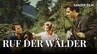 Ruf der Wälder, 1965 | Ganzer Film | HeimatfilmeTV