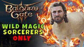 Let's Beat Baldur's Gate 3 as Wild Magic Sorcerers Only! (Act 3)