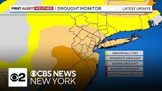 Parts of New York are under a drought watch. Here's what to know.