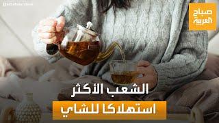 الأرقام لا تكذب!.. تركيا في صدارة دول العالم الأكثر استهلاكا للشاي