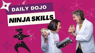 Train at the Dojo & Become a Nervous System Ninja