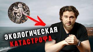 Экологическая катастрофа на Камчатке - Сортировочная