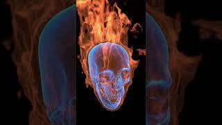 The skull is on fire blender 3d