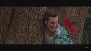 Ace Ventura - When Nature Calls - Darts In The Jungle