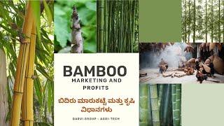 Bamboo Farming in Karnataka | Bamboo Marketing | Darvi Group