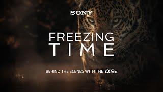 Freezing Time | Sony Alpha 9 III experience by Chris Schmid