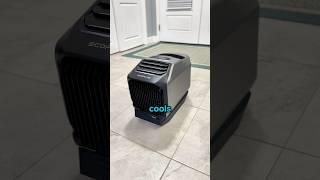 Xbox and Air Conditioning in a TENT - EcoFlow WAVE 2 & Delta 1300