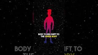 What Happens to the Body in Zero Gravity?