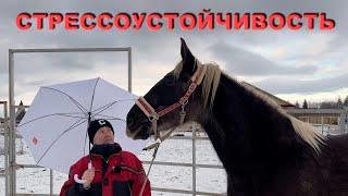 Тесты на стрессоустойчивость перед заездкой.