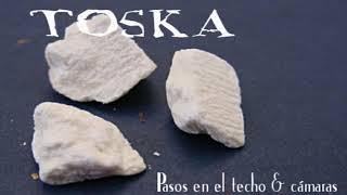 Basura Toska - Pasos en el techo & cámaras endoscopicas