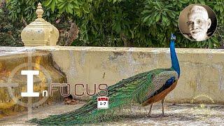 IN FOCUS - This week at Sri Ramana Maharshi Ashram (SRI RAMANASRAMAM) July 1-7, 2022