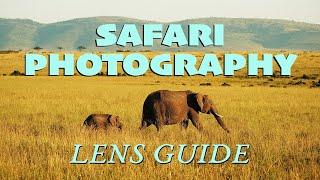 Safari Photography LENS GUIDE (Choosing the right lenses for your next adventure!)