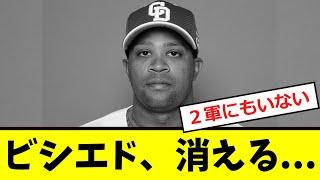 【中日】ビシエド、ドラゴンズから消える...