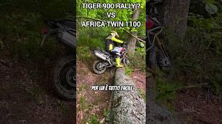 What's your choice? Tiger 900 Rally vs Africa Twin 1100 L Extreme off road #shorts