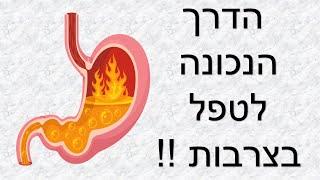 הסיבה האמתית לחומציות קיבה וטיפול טבעי לצרבות| שי חורש נטורופת | מחלות כרוניות ,🩺