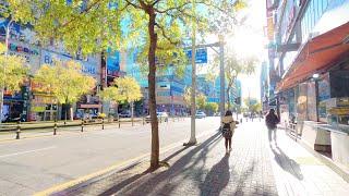 [4K] Walking in Korea's Daily Life / Street ASMR  / Ilsan, Jeongbalsan, Gyeonggi-do / Sunny windy